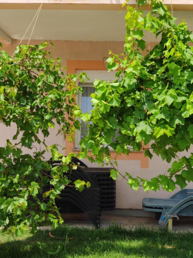 Apartma Dream Vacation