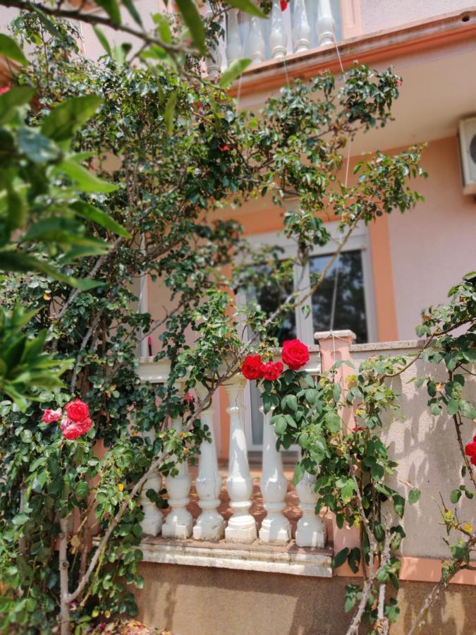 Apartma Dream Vacation